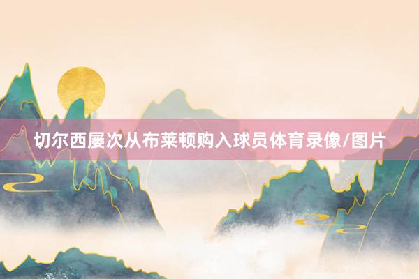 切尔西屡次从布莱顿购入球员体育录像/图片